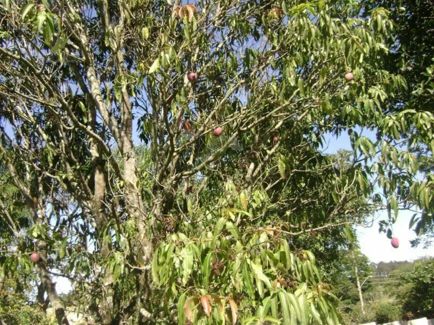 Terreno / Lote à venda, 1500m2 em Jundiai - SP - imagem 4 Foto 4 de Terreno / Lote à venda, 1500m2 em Jundiai - SP