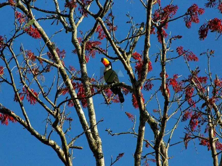 Foto 7 de Terreno / Lote à venda, 565m2 em Itatiba - SP