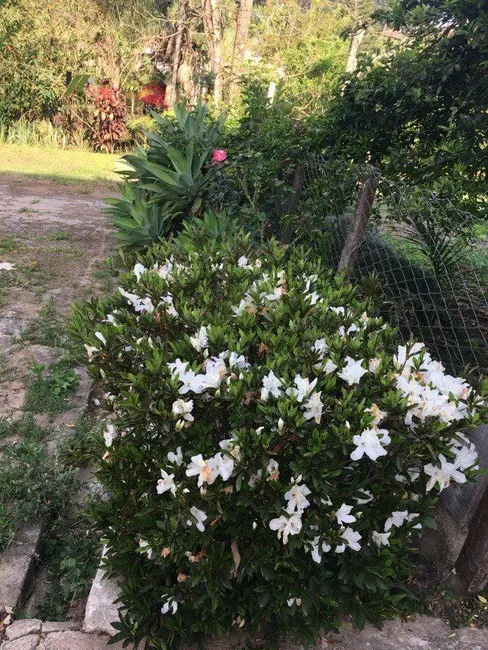 Foto 8 de Chácara à venda em Jardim Laura, Campo Limpo Paulista - SP