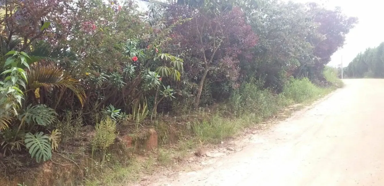 Foto 3 de Chácara com 2 quartos à venda, 1500m2 em Centro, Jarinu - SP