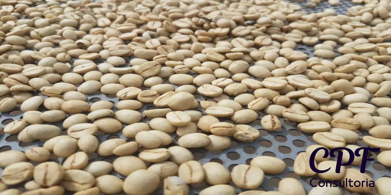 Fazenda / Haras com 6 quartos à venda, 5000m2 em Centro, Pocos De Caldas - MG - imagem 6 Foto 6 de Fazenda / Haras com 6 quartos à venda, 5000m2 em Centro, Pocos De Caldas - MG