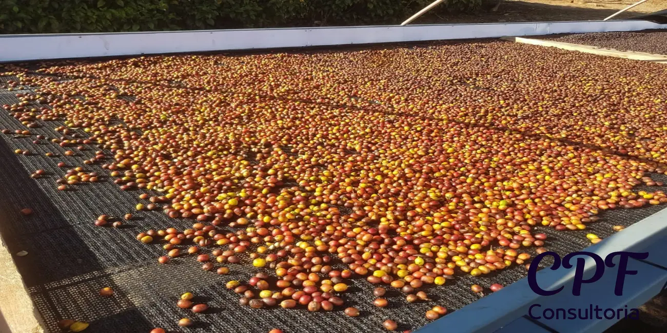 Fazenda / Haras com 6 quartos à venda, 5000m2 em Centro, Pocos De Caldas - MG - imagem 8 Foto 8 de Fazenda / Haras com 6 quartos à venda, 5000m2 em Centro, Pocos De Caldas - MG