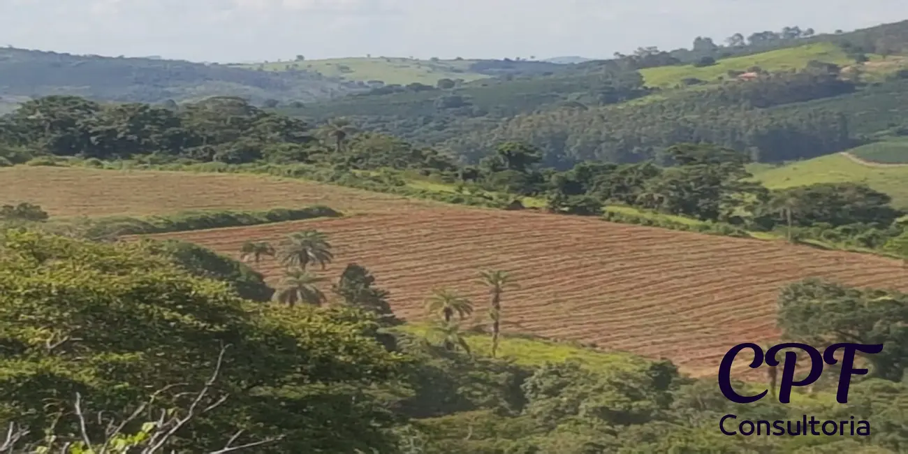 Fazenda / Haras com 6 quartos à venda, 5000m2 em Centro, Pocos De Caldas - MG - imagem 3 Foto 3 de Fazenda / Haras com 6 quartos à venda, 5000m2 em Centro, Pocos De Caldas - MG