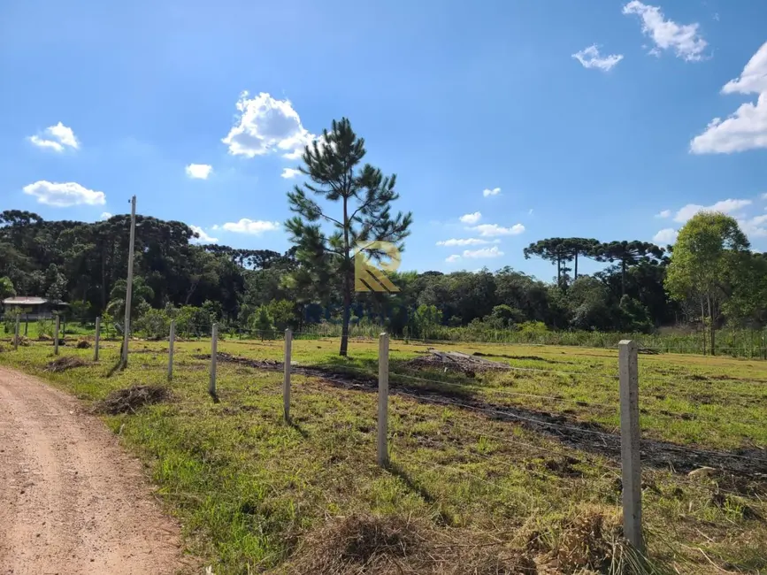 Chácara à venda em Sao Jose Dos Pinhais - PR - imagem 4 Foto 4 de Chácara à venda em Sao Jose Dos Pinhais - PR