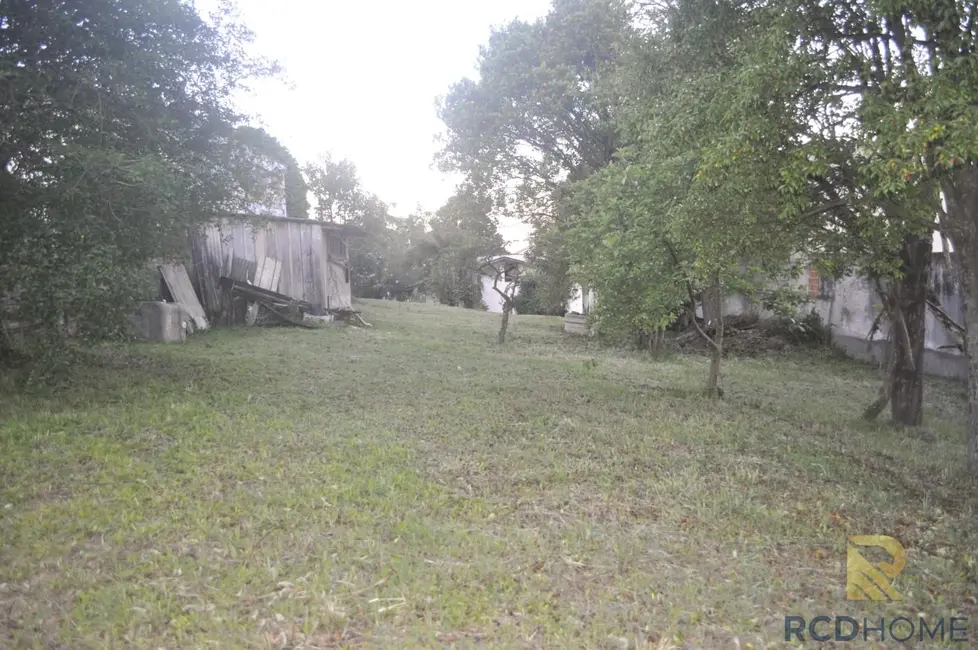 Foto 16 de Terreno / Lote à venda em Curitiba - PR