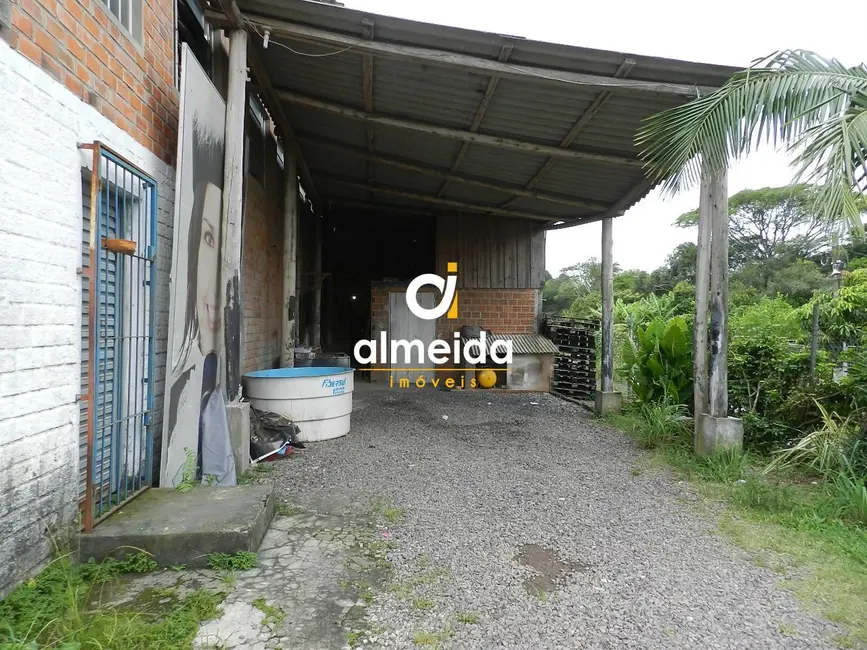 Foto 9 de Armazém / Galpão com 4 quartos para alugar, 410m2 em Cerrito, Santa Maria - RS