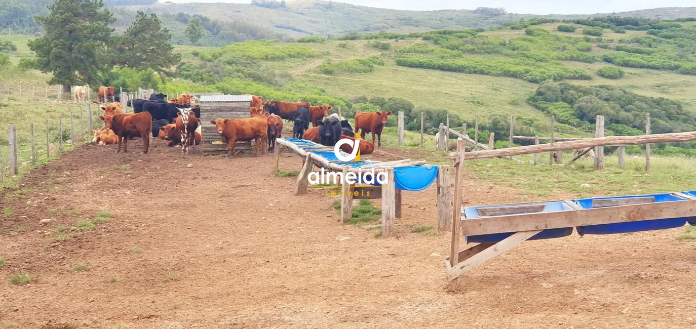 Foto 1 de Fazenda / Haras à venda, 1490000m2 em Pantano Grande - RS
