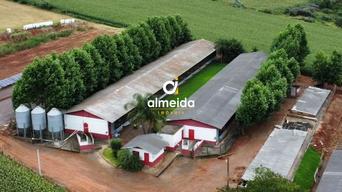Foto 1 de Chácara com 2 quartos à venda, 20000m2 em Teutonia - RS