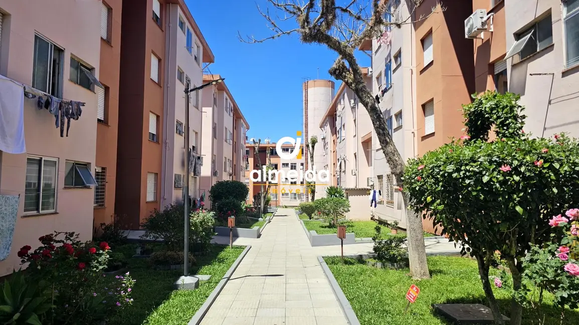 Foto 1 de Apartamento com 3 quartos à venda, 66m2 em Nonoai, Santa Maria - RS