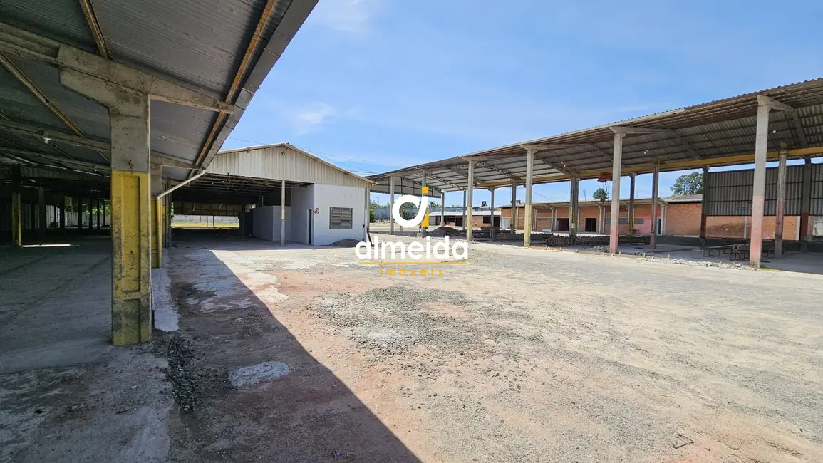 Foto 3 de Armazém / Galpão com 4 quartos para alugar, 3667m2 em Nossa Senhora Medianeira, Santa Maria - RS