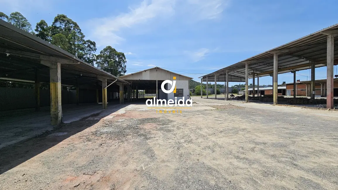 Foto 6 de Armazém / Galpão com 4 quartos para alugar, 3667m2 em Nossa Senhora Medianeira, Santa Maria - RS