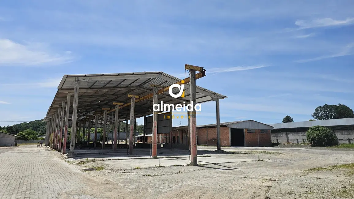 Foto 1 de Armazém / Galpão com 4 quartos para alugar, 3667m2 em Nossa Senhora Medianeira, Santa Maria - RS