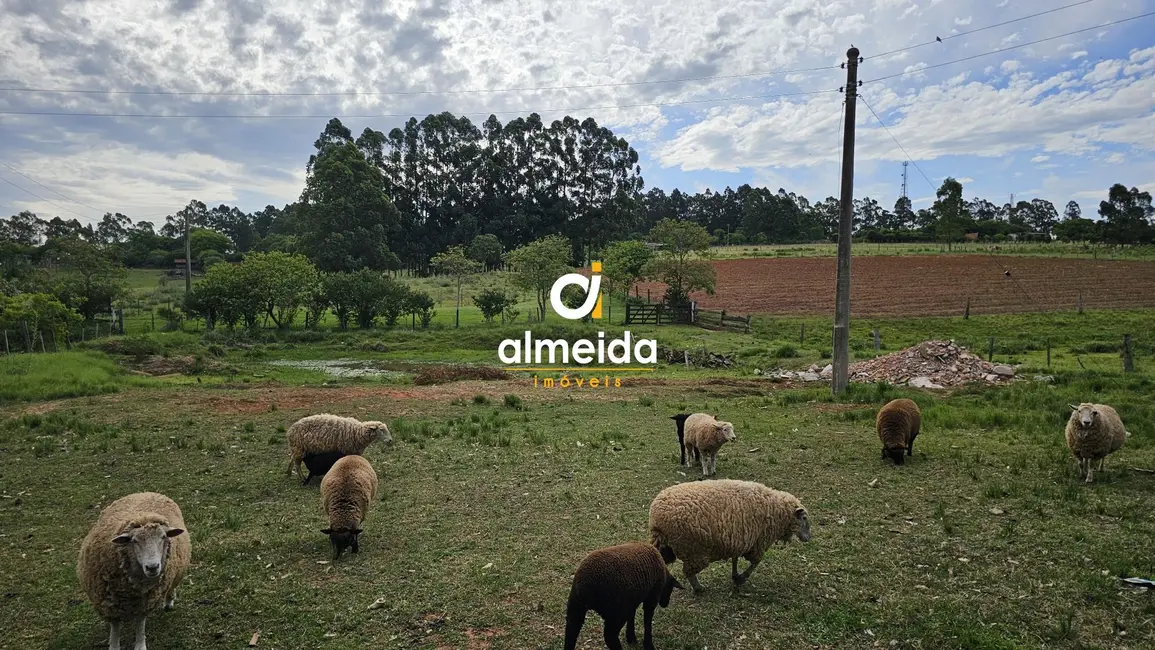 Foto 9 de Chácara com 3 quartos à venda, 500m2 em Santa Maria - RS