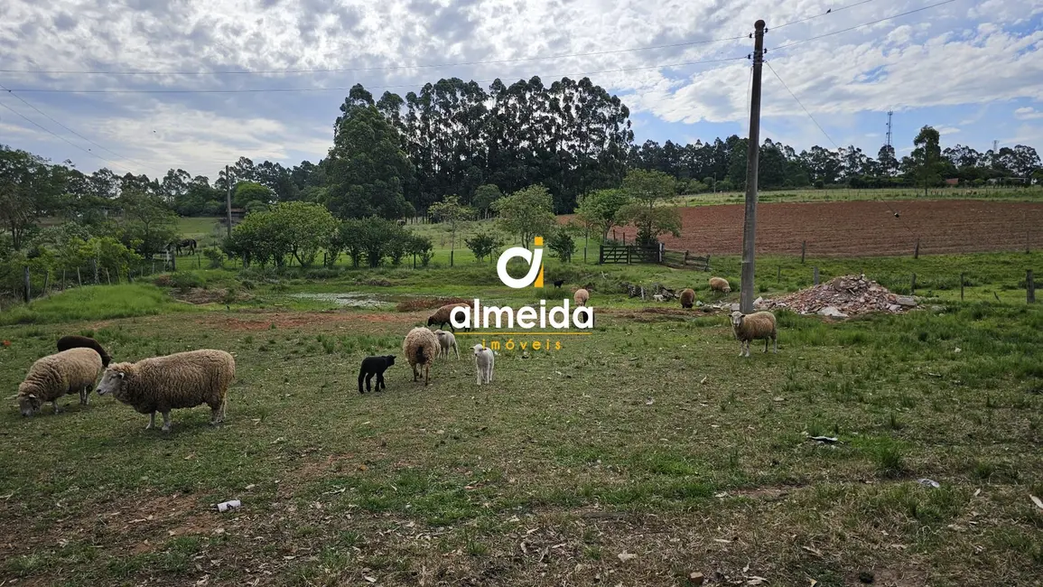 Foto 1 de Chácara com 3 quartos à venda, 500m2 em Santa Maria - RS