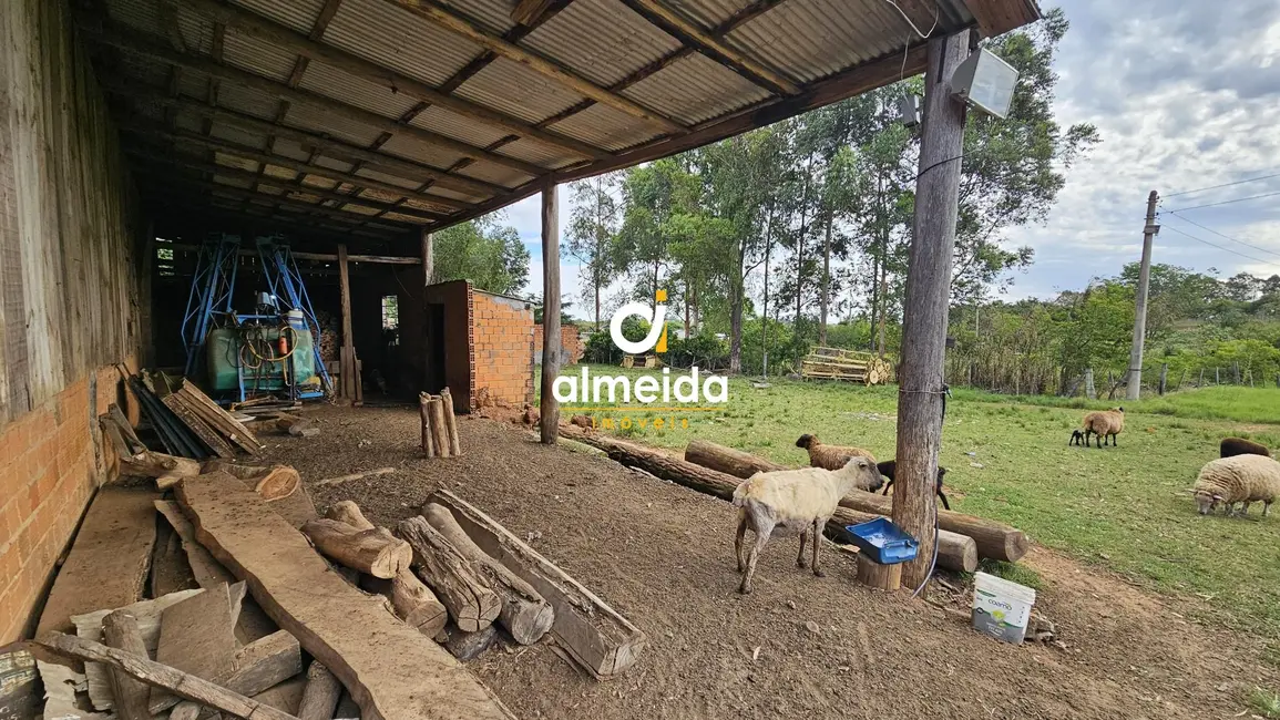 Foto 6 de Chácara com 3 quartos à venda, 500m2 em Santa Maria - RS