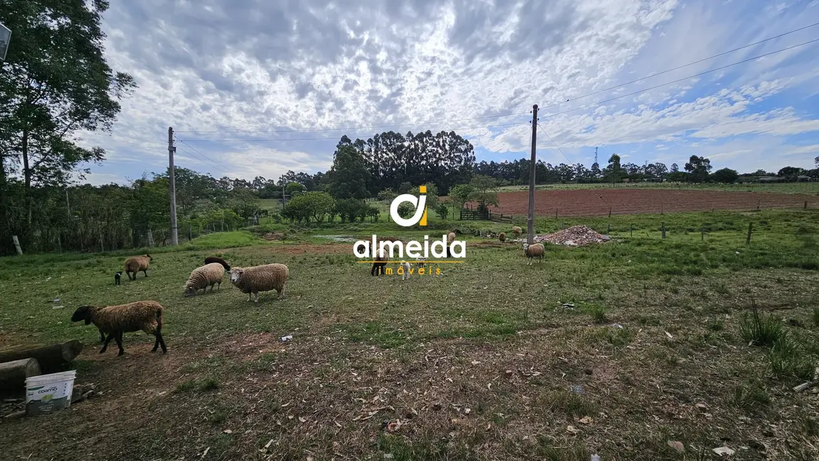 Foto 2 de Chácara com 3 quartos à venda, 500m2 em Santa Maria - RS