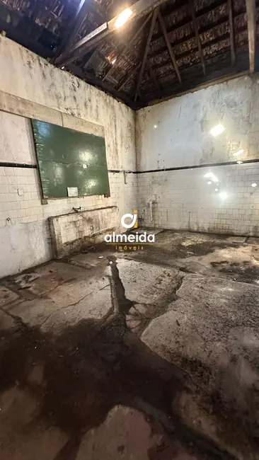Foto 4 de Prédio Inteiro com 5 quartos à venda, 5000m2 em Nossa Senhora das Dores, Santa Maria - RS
