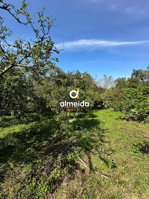Foto 8 de Chácara com 1 quarto à venda, 3836m2 em Nossa Senhora do Perpétuo Socorro, Santa Maria - RS
