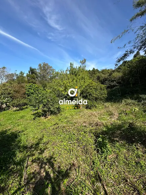 Foto 9 de Chácara com 1 quarto à venda, 3836m2 em Nossa Senhora do Perpétuo Socorro, Santa Maria - RS