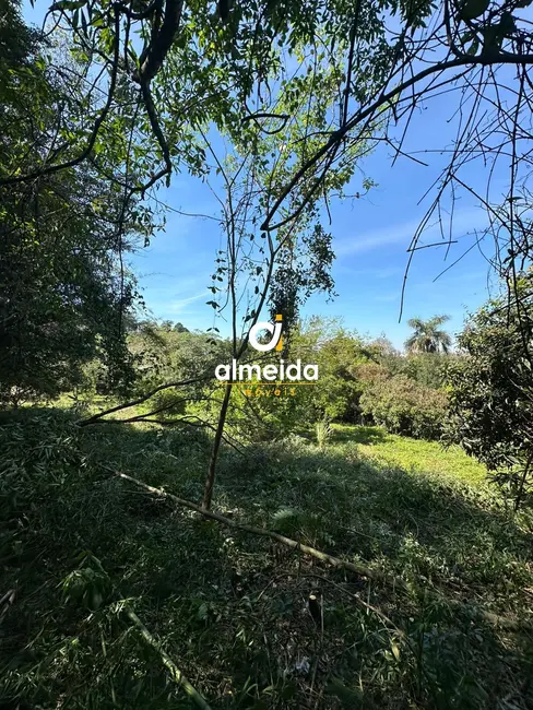 Foto 6 de Chácara com 1 quarto à venda, 3836m2 em Nossa Senhora do Perpétuo Socorro, Santa Maria - RS