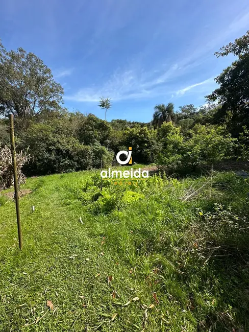 Foto 7 de Chácara com 1 quarto à venda, 3836m2 em Nossa Senhora do Perpétuo Socorro, Santa Maria - RS