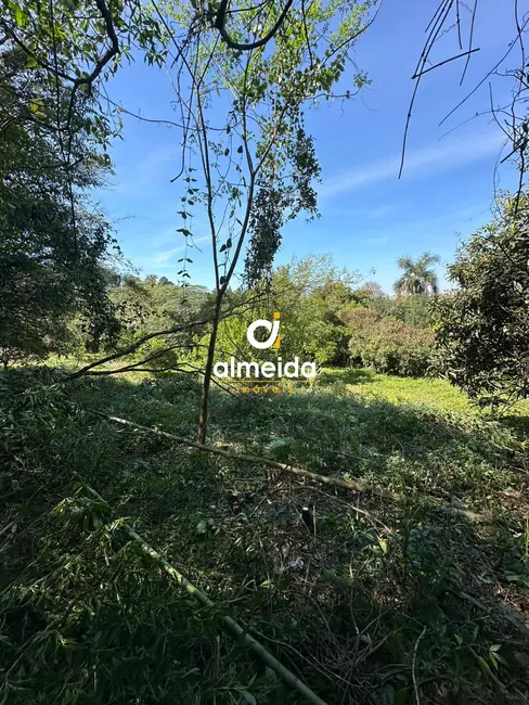 Foto 4 de Chácara com 1 quarto à venda, 3836m2 em Nossa Senhora do Perpétuo Socorro, Santa Maria - RS