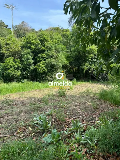 Foto 4 de Terreno / Lote à venda, 3836m2 em Nossa Senhora do Perpétuo Socorro, Santa Maria - RS
