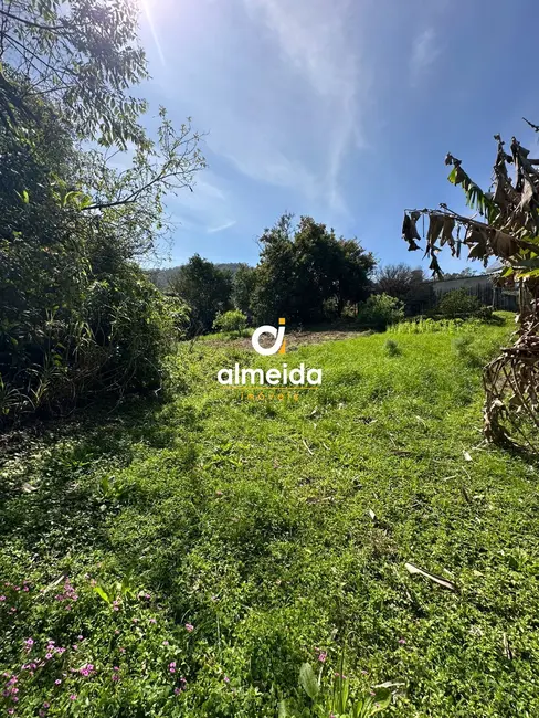 Foto 3 de Terreno / Lote à venda, 3836m2 em Nossa Senhora do Perpétuo Socorro, Santa Maria - RS