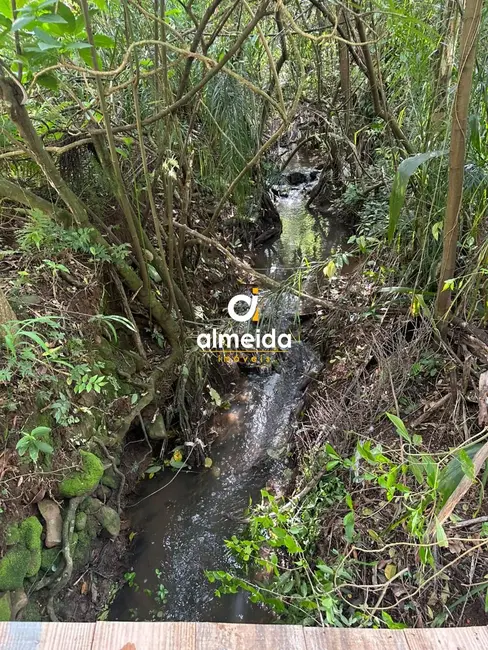 Foto 6 de Terreno / Lote à venda, 3836m2 em Nossa Senhora do Perpétuo Socorro, Santa Maria - RS