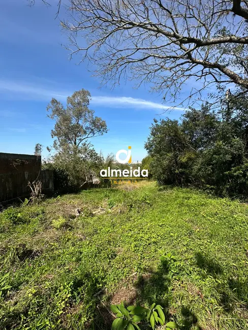 Foto 2 de Terreno / Lote à venda, 3836m2 em Nossa Senhora do Perpétuo Socorro, Santa Maria - RS