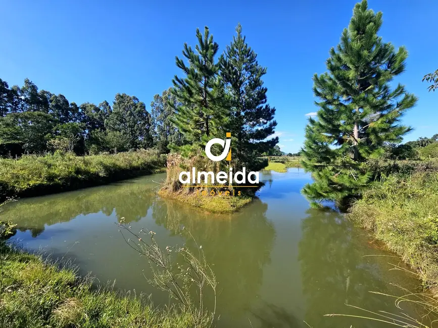 Foto 3 de Chácara com 1 quarto à venda, 10000m2 em Santa Maria - RS