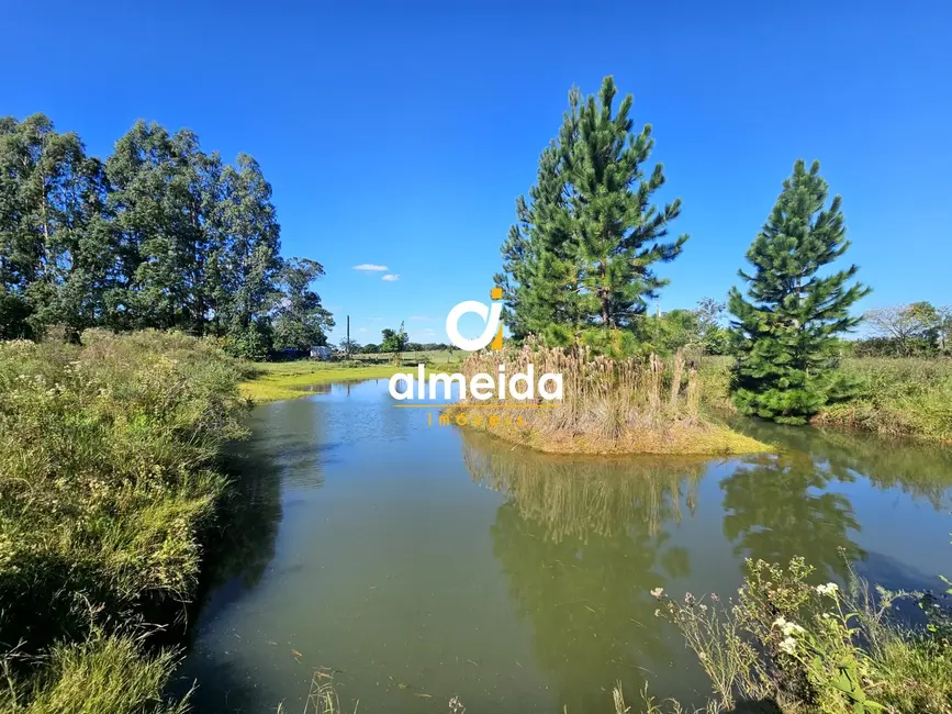 Foto 4 de Chácara com 1 quarto à venda, 10000m2 em Santa Maria - RS