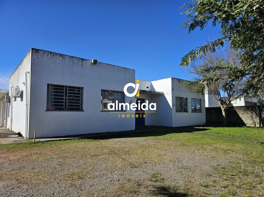 Foto 3 de Prédio Inteiro com 8 quartos à venda, 675m2 em Pé de Plátano, Santa Maria - RS