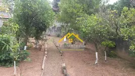 Imagem 5