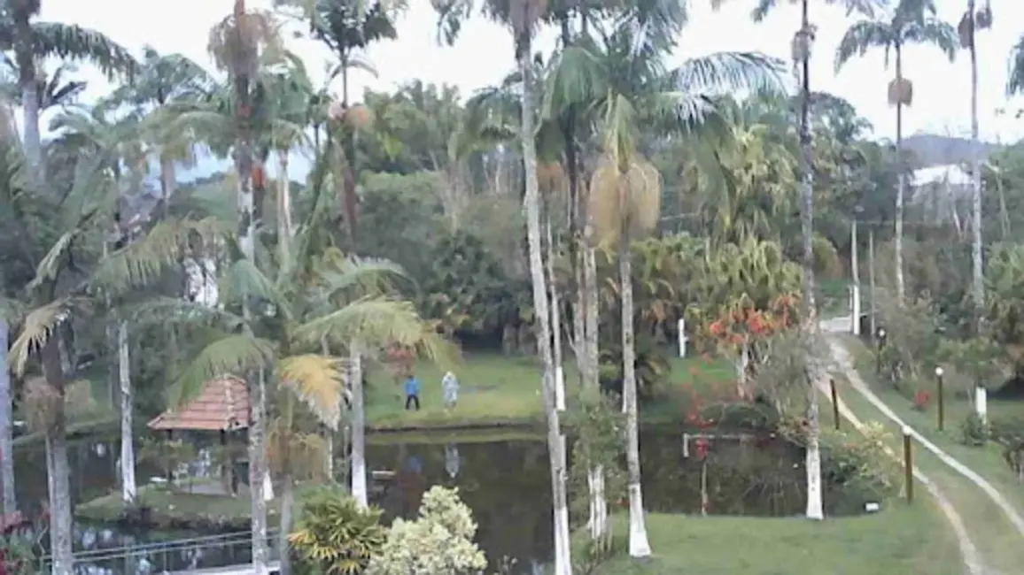 Foto 6 de Chácara com 6 quartos à venda, 18000m2 em Quatinga, Mogi Das Cruzes - SP