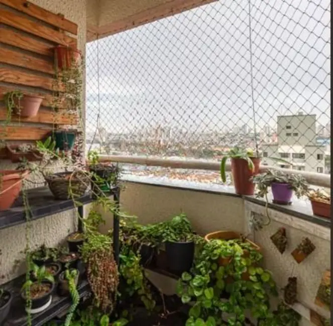 Foto 6 de Apartamento com 3 quartos à venda, 70m2 em Silveira, Santo Andre - SP