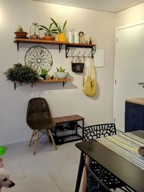 Foto 4 de Apartamento com 3 quartos à venda, 70m2 em Vila Pires, Santo Andre - SP