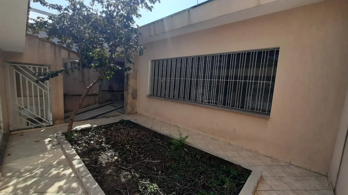 Casa com 3 quartos à venda, 250m2 em Vila Floresta, Santo Andre - SP - imagem 4 Foto 4 de Casa com 3 quartos à venda, 250m2 em Vila Floresta, Santo Andre - SP