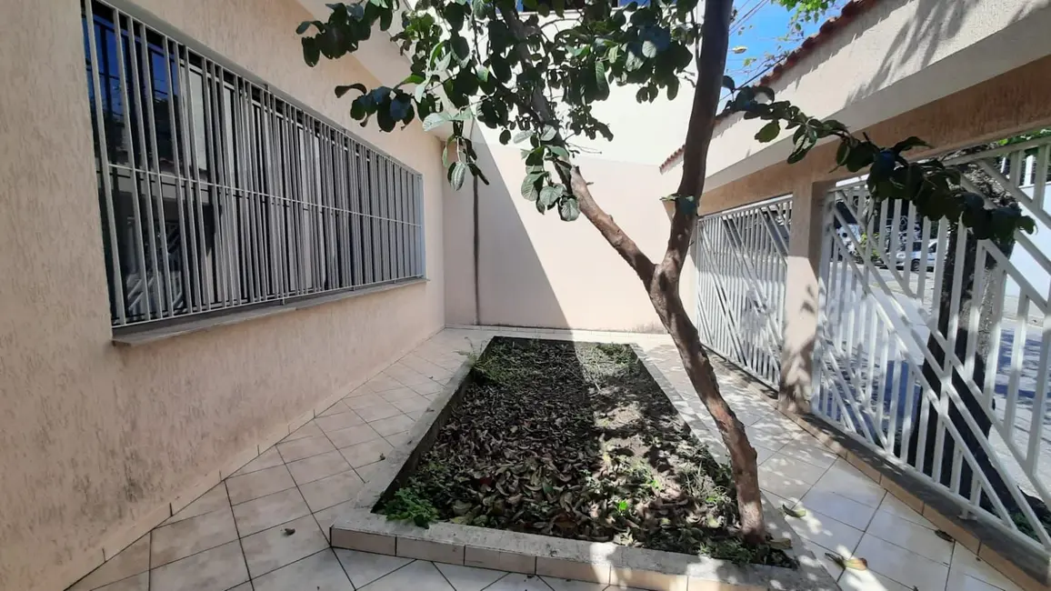 Casa com 3 quartos à venda, 250m2 em Vila Floresta, Santo Andre - SP - imagem 3 Foto 3 de Casa com 3 quartos à venda, 250m2 em Vila Floresta, Santo Andre - SP