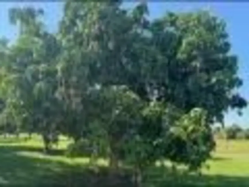 Foto 3 de Sobrado com 5 quartos à venda, 450m2 em Itai - SP