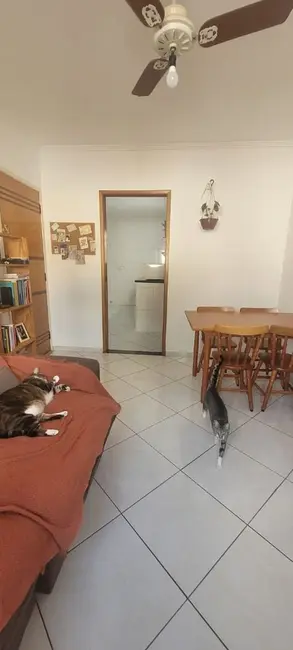 Foto 2 de Apartamento com 2 quartos à venda, 52m2 em Vila Helena, Santo Andre - SP