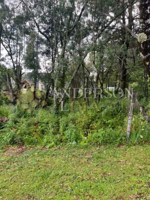 Foto 7 de Terreno / Lote à venda, 600m2 em Gramado - RS