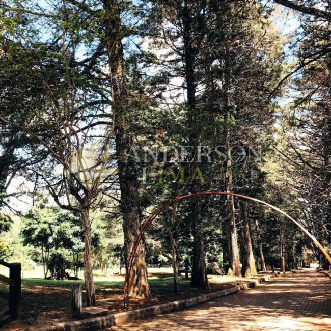 Foto 23 de Chácara à venda, 2000m2 em Pelotas - RS