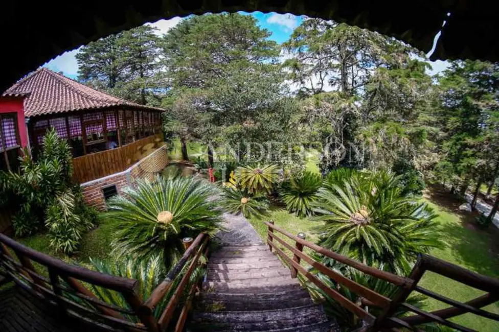 Foto 11 de Chácara à venda, 2000m2 em Pelotas - RS