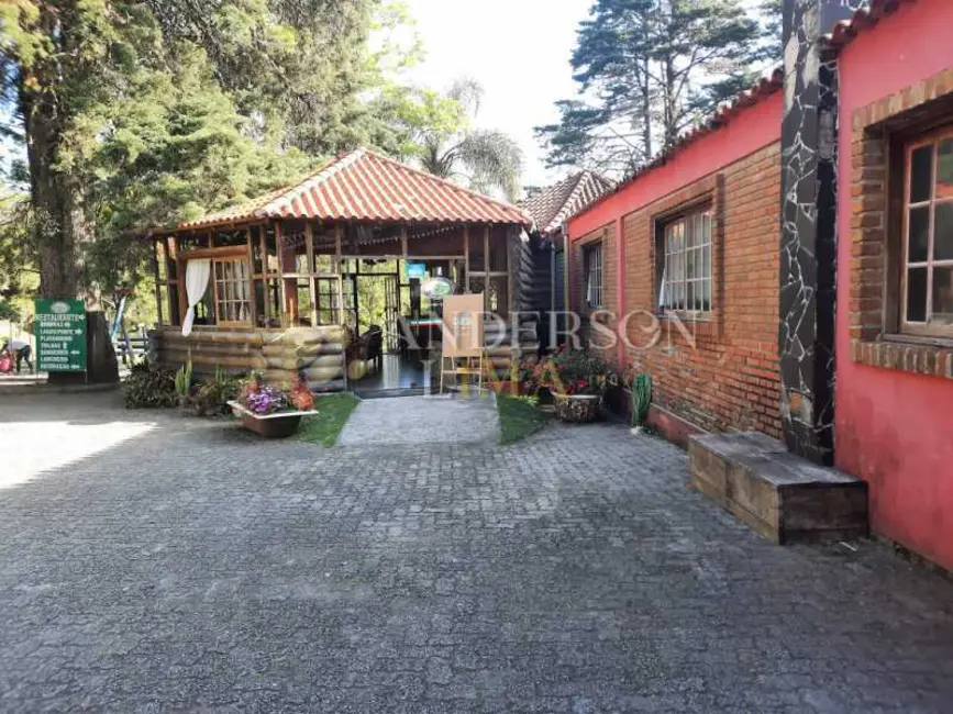 Foto 6 de Chácara à venda, 2000m2 em Pelotas - RS