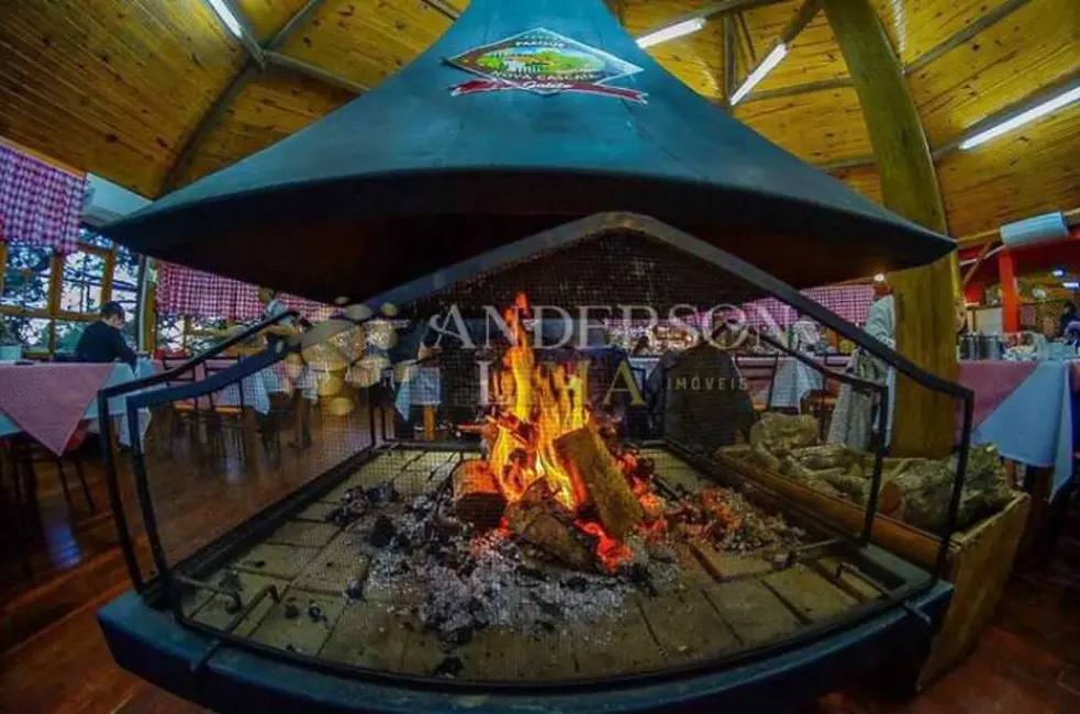 Foto 14 de Chácara à venda, 2000m2 em Pelotas - RS