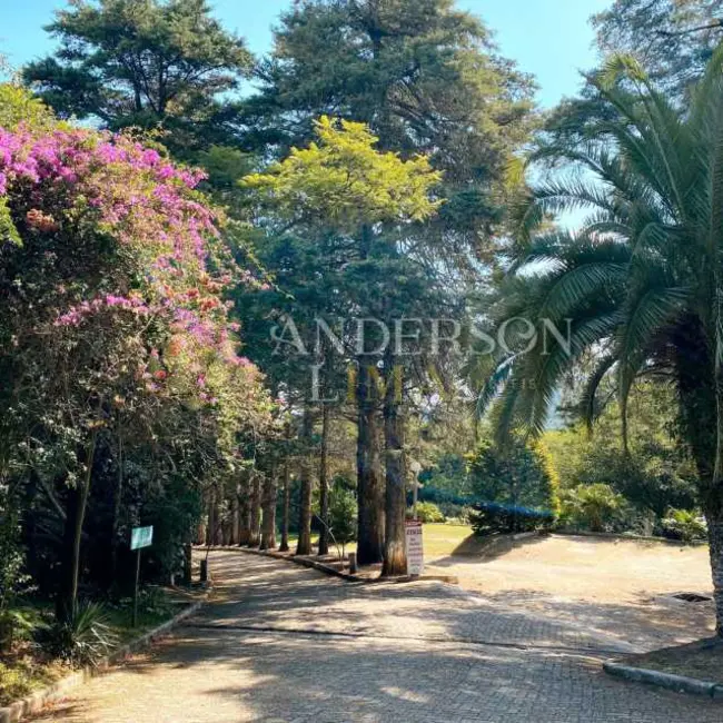 Foto 20 de Chácara à venda, 2000m2 em Pelotas - RS