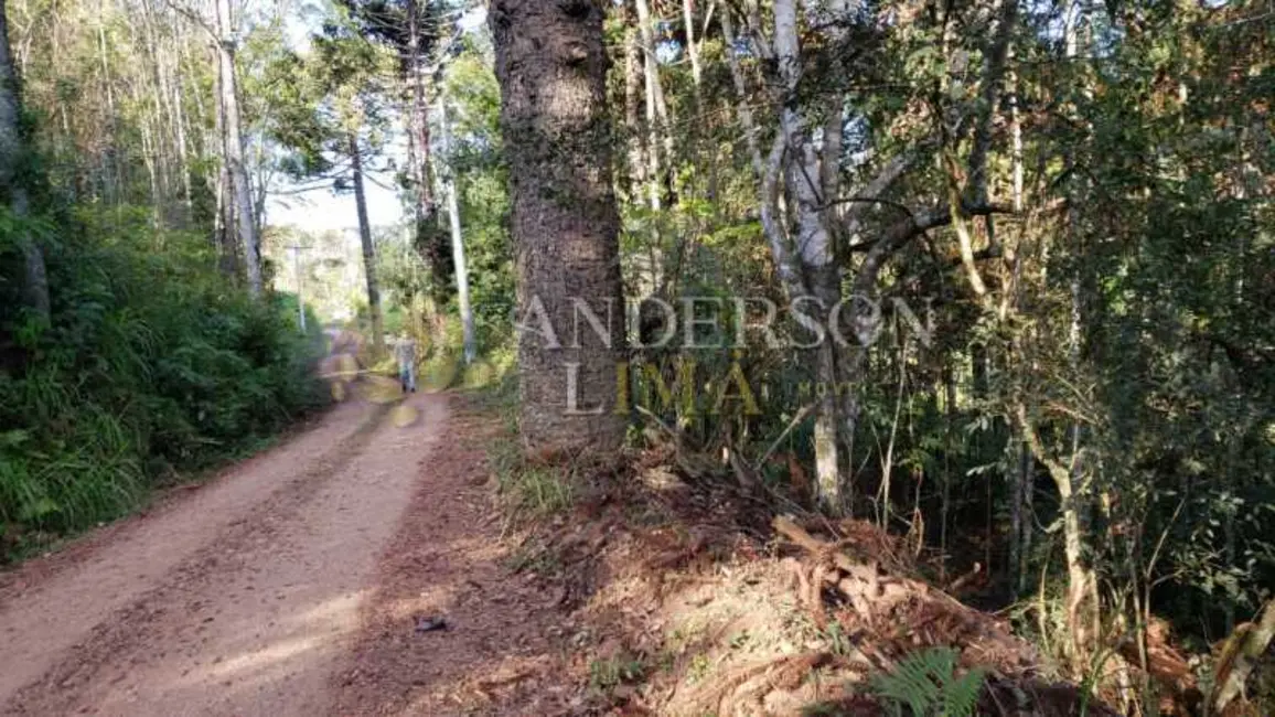 Foto 7 de Sítio / Rancho à venda, 19000m2 em Gramado - RS