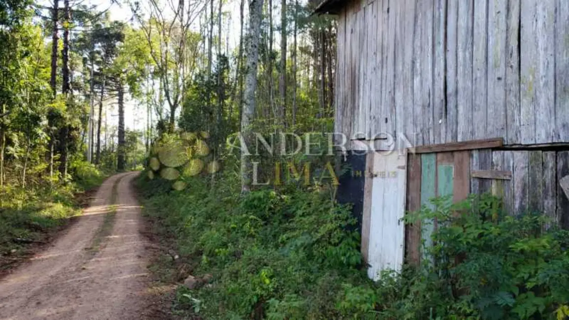 Foto 8 de Sítio / Rancho à venda, 19000m2 em Gramado - RS