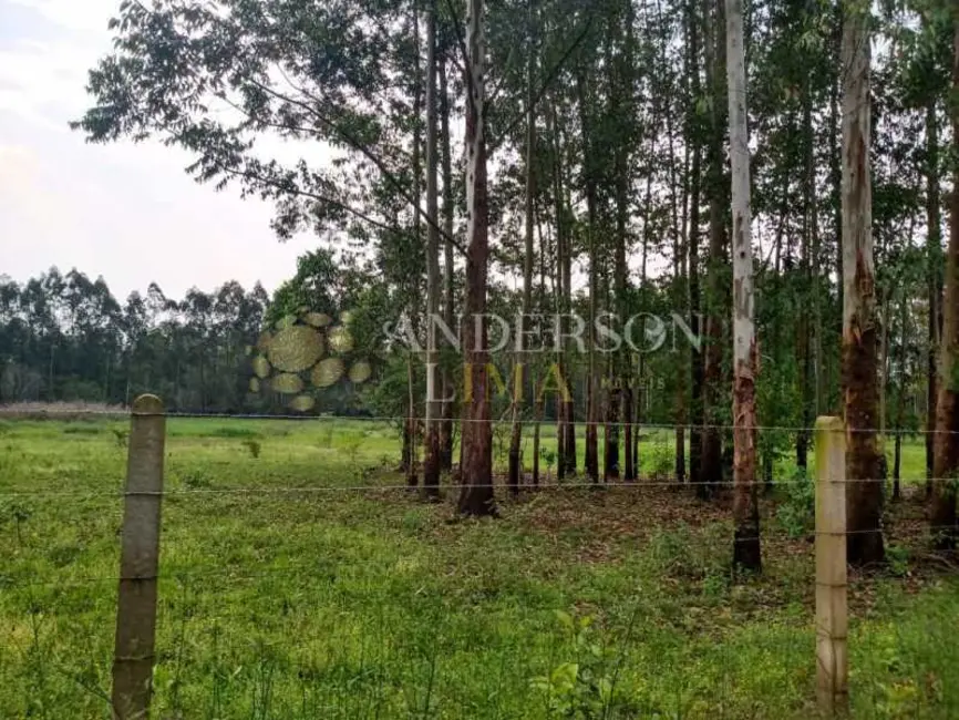 Chácara à venda, 20000m2 em Campo Bom - RS - imagem 7 Foto 7 de Chácara à venda, 20000m2 em Campo Bom - RS